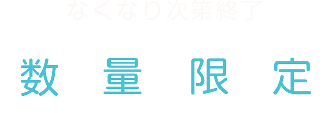 なくなり次第終了