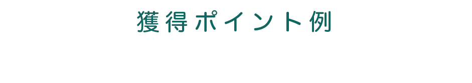 獲得ポイント例ーお支払い金額が税込5,000円の場合