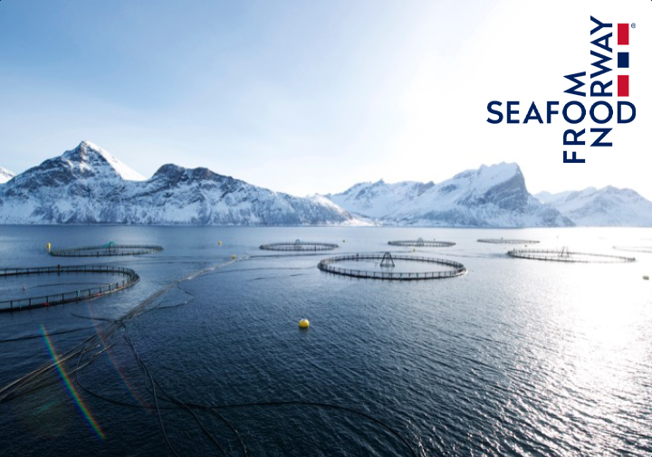 ノルウェーの豊かな自然環境