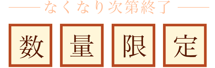なくなり次第終了 数量限定