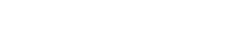 総選挙の流れ