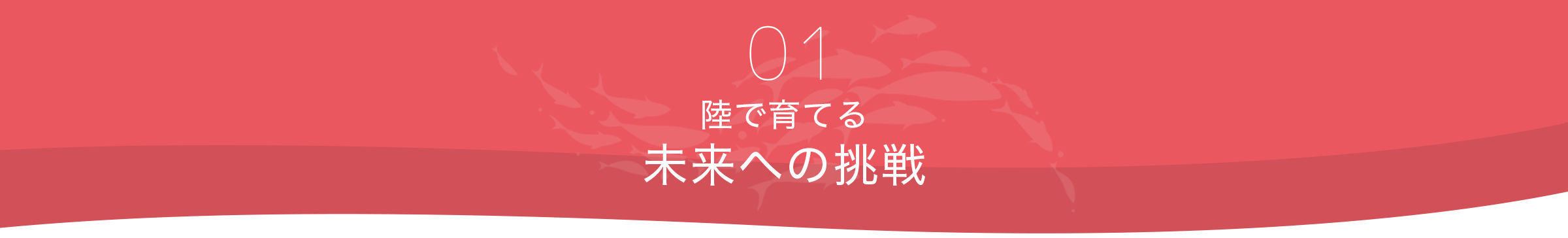 01 陸で育てる未来への挑戦