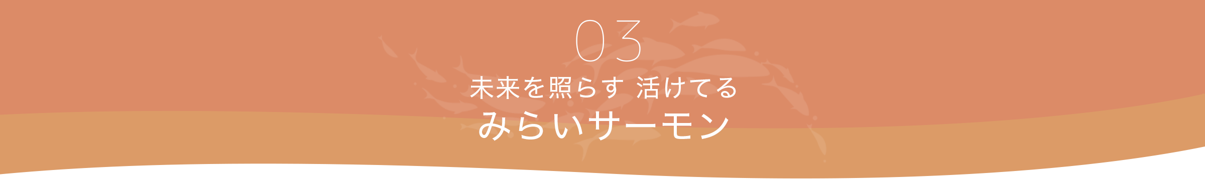 未来を照らす活けてる「みらいサーモン」