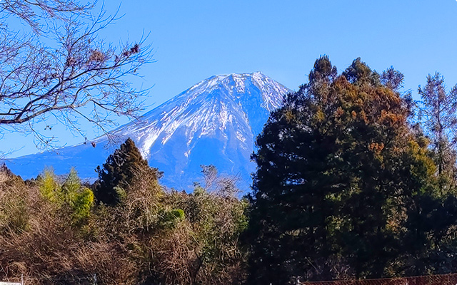 ホワイトサーモンが育つ富士山の麓