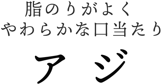 脂のりがよくやわらかな口当たり アジ