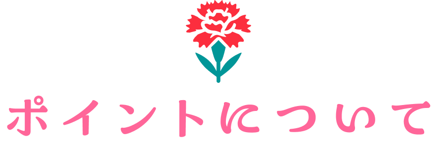ポイントについて