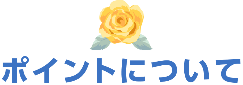 ポイントについて