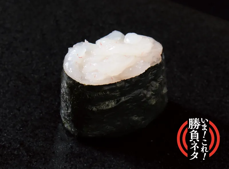 富山白エビ<