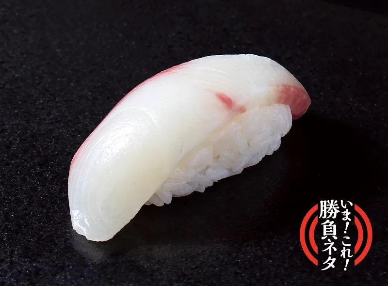 ブリマサ