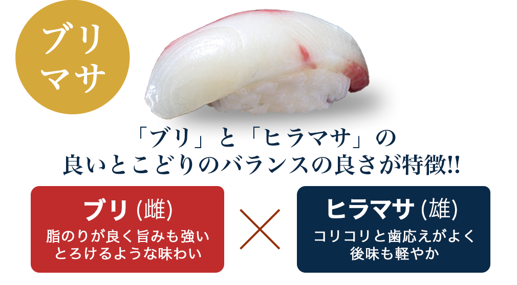 ブリマサ