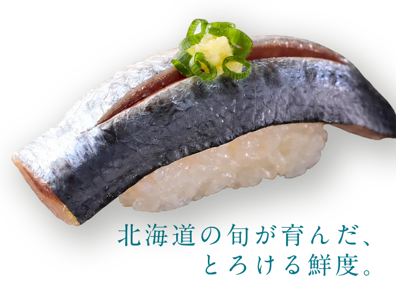 トロいわし