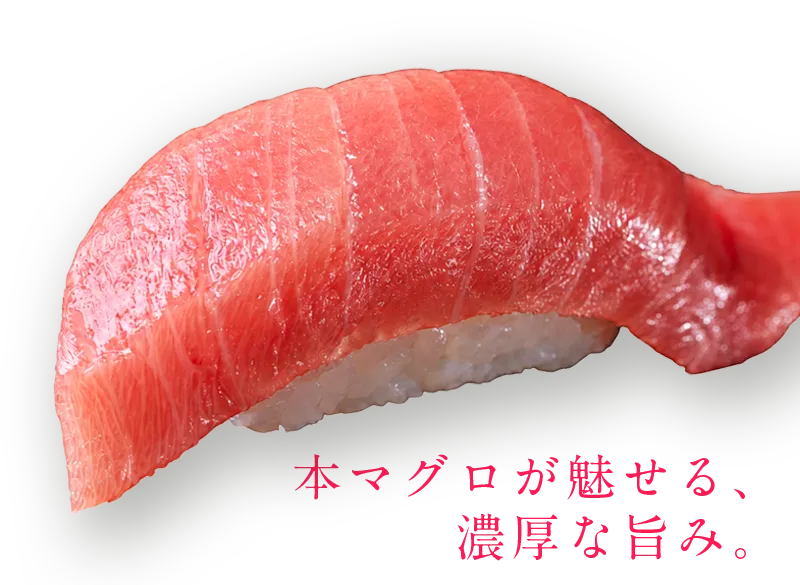 本マグロ中トロ