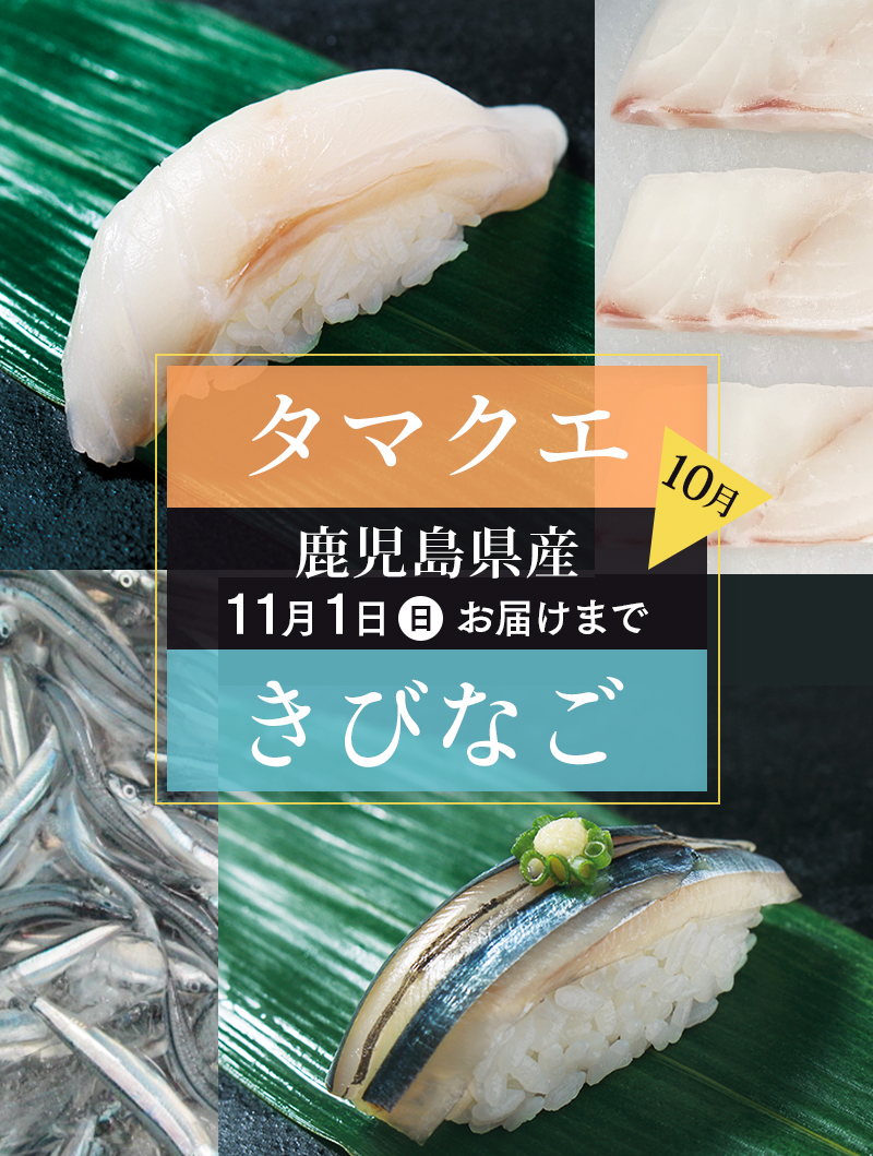 10月鹿児島県 タマクエ きびなご にっぽんの海でとれたうまい をお届け 銀のさら個のお も て な し