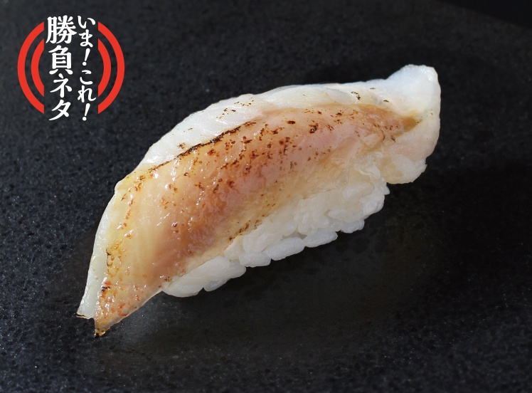 A552 トロ炙りキンキ(1貫)