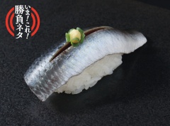 A554 北海道産トロいわし(1貫)