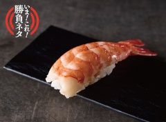 A559 特選大エビ(1貫)