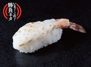 A609 炙り車エビ(1貫)