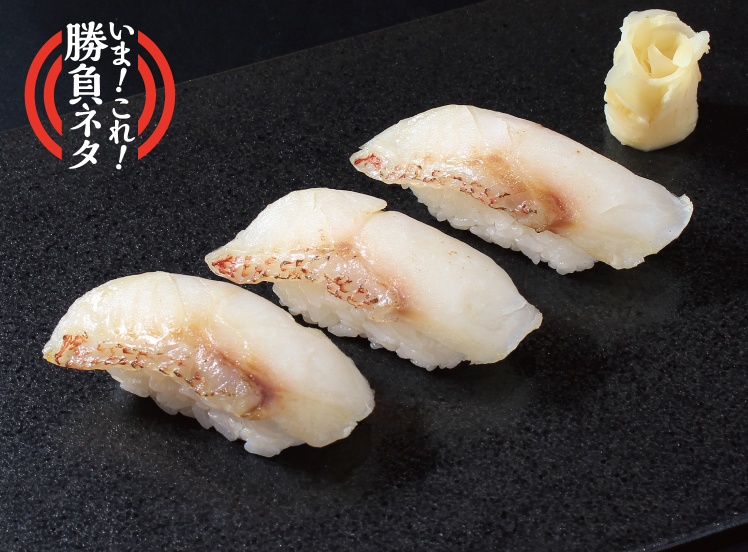 P157 トロ炙りキンキ3貫盛り