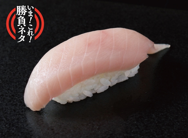 P160 メカジキ中トロ（1貫）