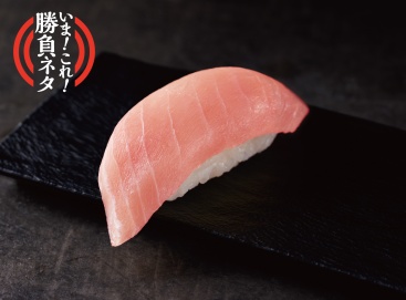 P167 トロビンチョウ（1貫）