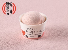 P169 やさしいあいすくりーむ いちご