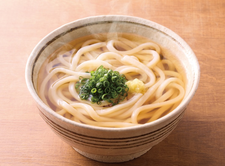 S496 かけうどん
